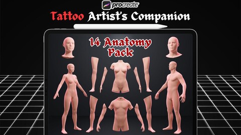 4K Procreate 3D models , Procreate Tattoo model , tattoo simulation , 3D woman model , 3D man model | Procreate stamps | for tattoo artists