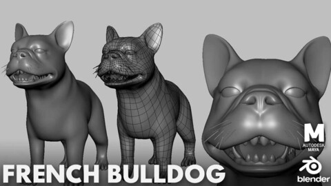 French BullDog BaseMesh -Topology + UV Map