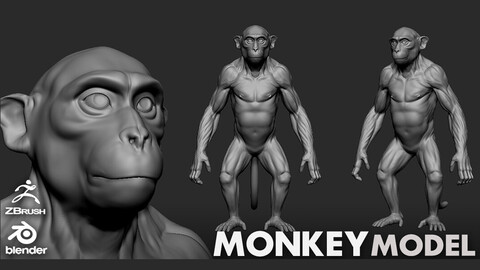 Monkey- Topology + UV map