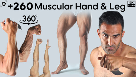 +260 Muscular Hands & Legs - Vol 02