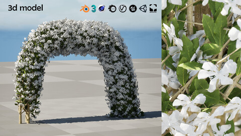 White Crepe Jasmine Arch 3D Asset