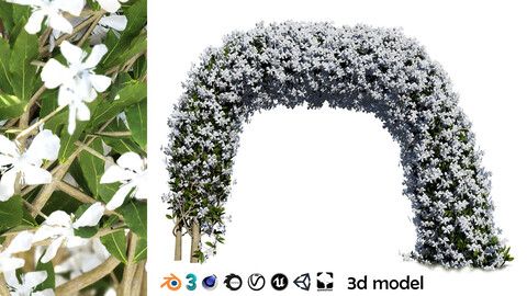 Wedding Venue Decoration: Arc Crepe Jasmine Arch 3D Model