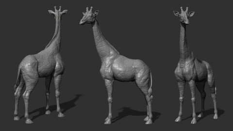 Giraffe full-length