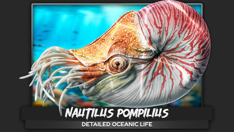 Nautilus Pompilius - Nemo Shell Mollusk - Underwater Monster - Tentacles Creature - Low Poly Realistic 3D Model - #44