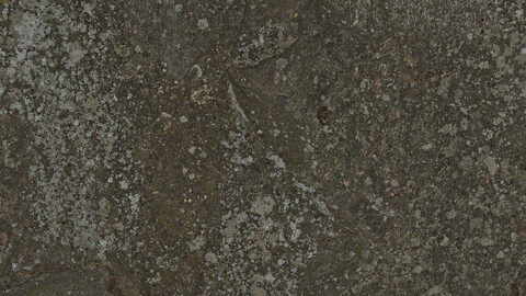 Rock Seamless Texture 2k (2048*2048) | EXR 5 | JPG 5 File Formats All Texture Apply After Object Look Like A 3D. (1K preview image)