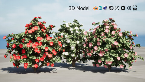 3D Camellia Flower Bush - Realistic Elegance for Your Designs