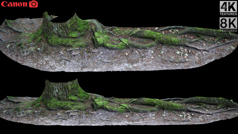 roots asphalt damaged road part2 photogrammetry