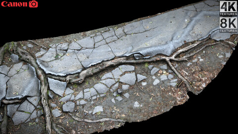 asphalt roots damaged road part5 photogrammetry