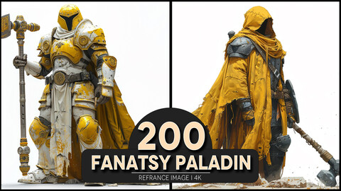 Fanatsy Paladin 4K Reference/Concept Images