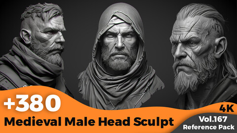 +300 Medieval Male Head Sculpt references (4k)