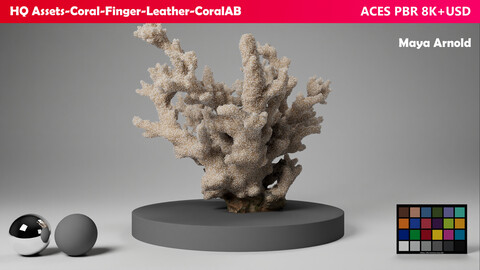 HQ Assets Coral Finger Leather CoralAB Arnold