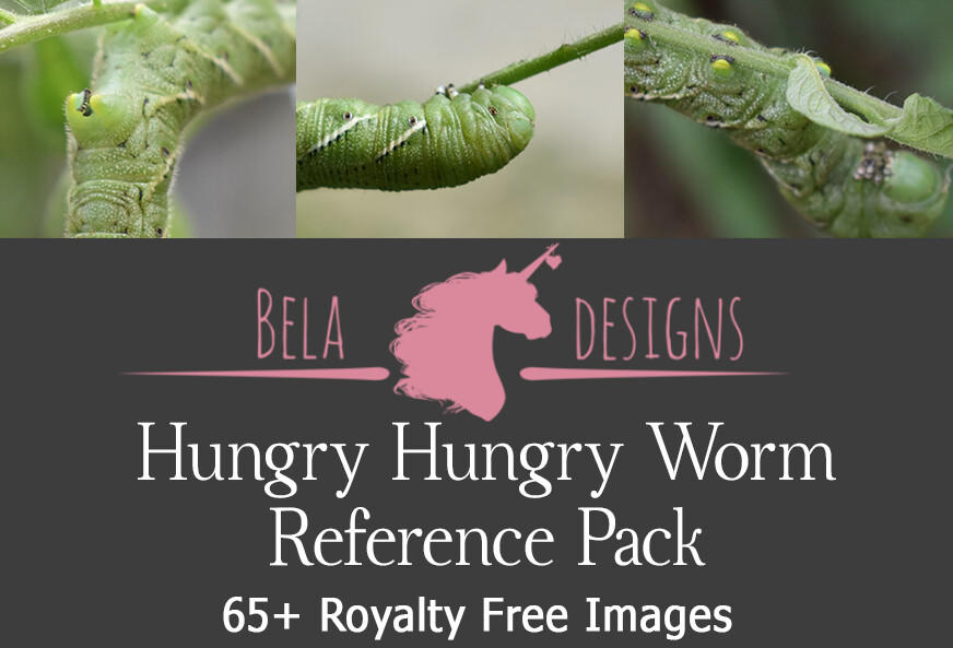 ArtStation - Beladesigns' Hungry Hungry Worm Reference Pack | Resources