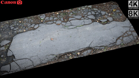 asphalt cracked tree roots part part5 Photogrammetry