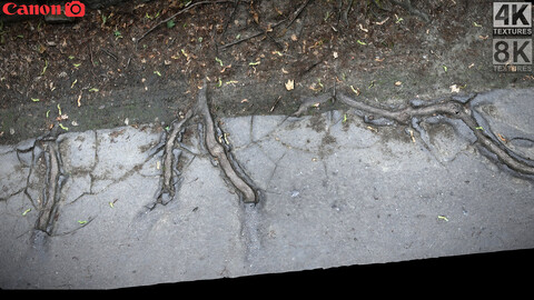 asphalt road tree roots part8 photogrammetry