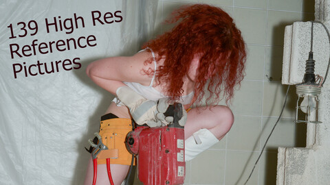 Reference Pack - PR0110 - Wild red head at a construction site