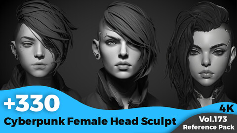 +330 Cyberpunk Female Head Sculpt(4k)