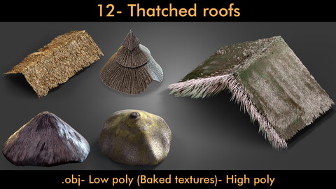 12- Thatched Roofs