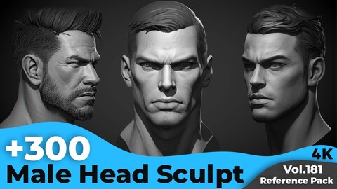 +300 Male Head Sculpt(4k)