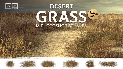 Dynamic Desert Grass Brushes | MS Brushes