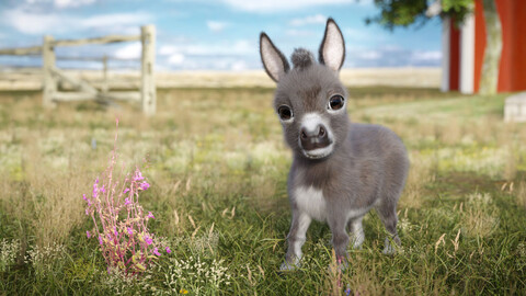 Hoofie the Donkey