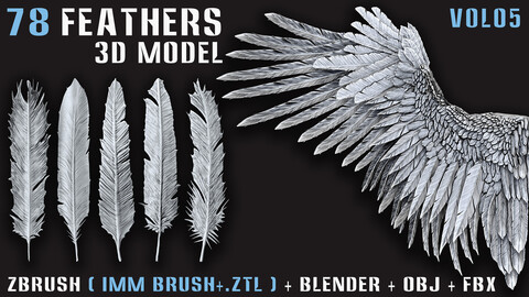 78 Feathers 3D Model (High, Mid, and Low Poly) – Vol.05