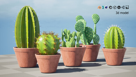 Potted cactus collection