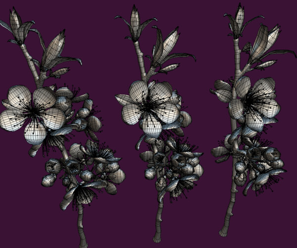 ArtStation - Flower Prunus Mume | Game Assets