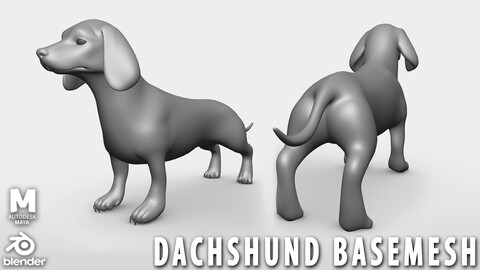 Dachshund Dog BaseMesh - Topology + UV map