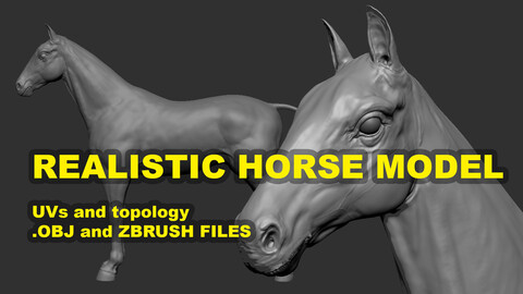 Realistic horse model (lowpoly + highpoly)