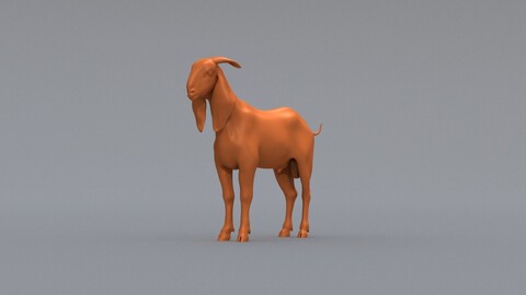 Goat_BaseMesh