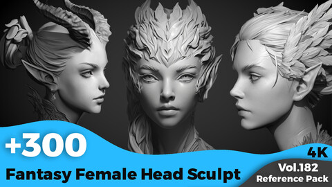 +300 Fantasy Female Head Sculpt Reference(4k)