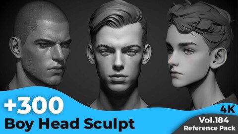 +300 Boy Head Sculpt Reference(4k)