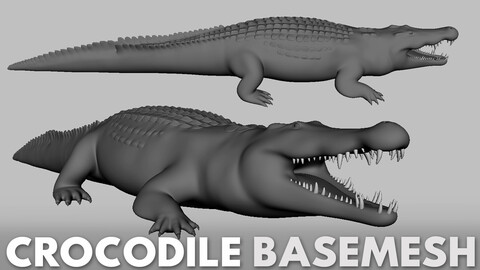 Crocodile Basemesh - Topology + UV map