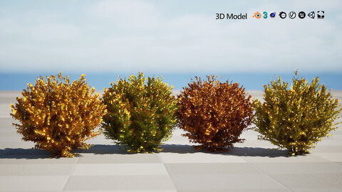 Fire Chief Arborvitae 3D Model