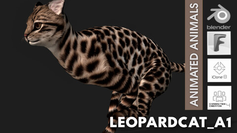 LeopardCat_A1