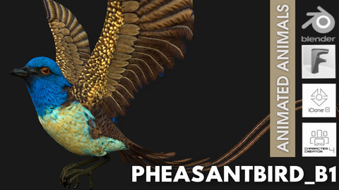 PheasantBird_B1