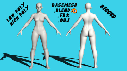 Stylized Female Anatomy Basemesh