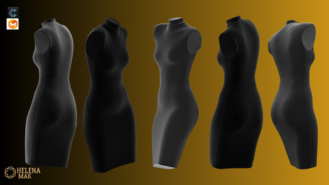 3D Mannequin Description