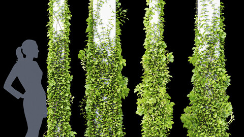 Plants Hanging On Pillars 01