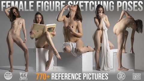 770+ Female Figure Sketching Poses