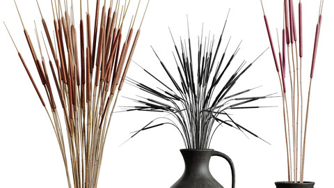 HQ HousePlants Decorative Stoilan Pampas Dried Branches Pampy