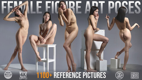 1100+ Female Figure Art Poses