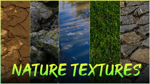 Nature Textures- Photo Reference Pack For Artists 695 JPEGs noAI