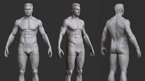 Male anatomy base mesh