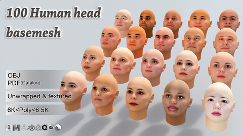 100 Human head basemesh(man & woman)