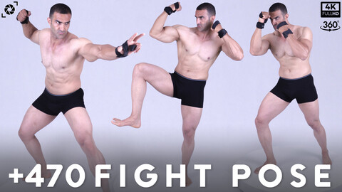 +470 Fight Pose Reference Pictures - Vol 01