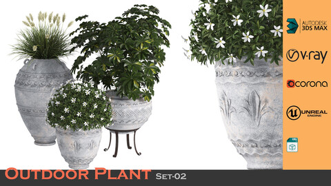 Plants In Pots - Set 02