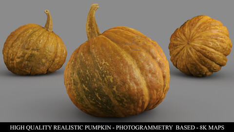 HIGH QUALITY REALISTIC PUMPKIN 8K MAPS