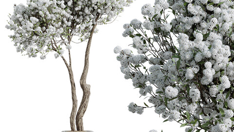 HousePlants Tropez Planter Cherry Blossom Decorative Tree02