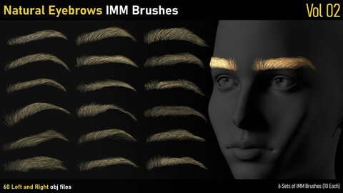 Natural Eyebrows IMM Brushes-Vol2